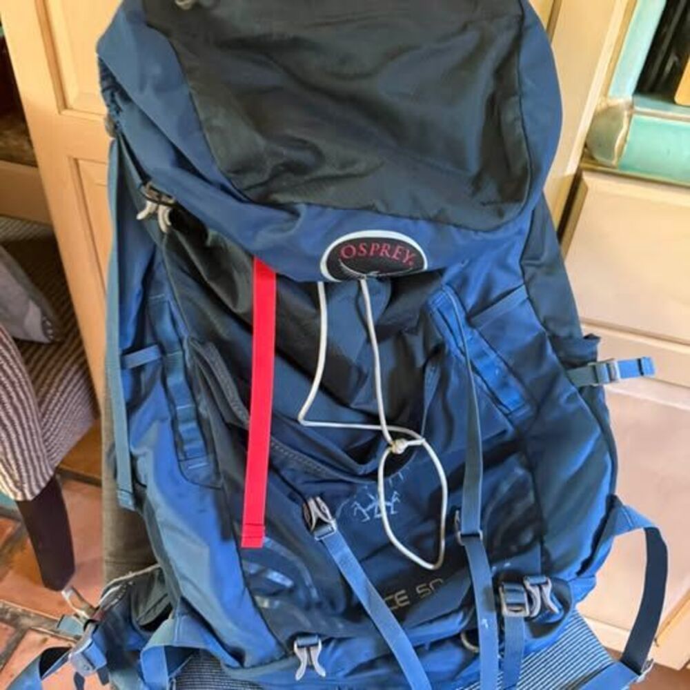 Osprey Ace 50 Backpack very good condition used once no stains or damage